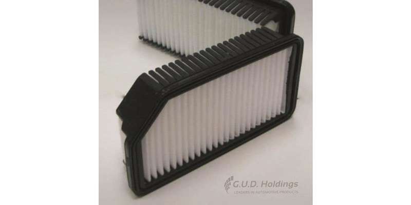 AG1403 Air Filter Kia (GUD)