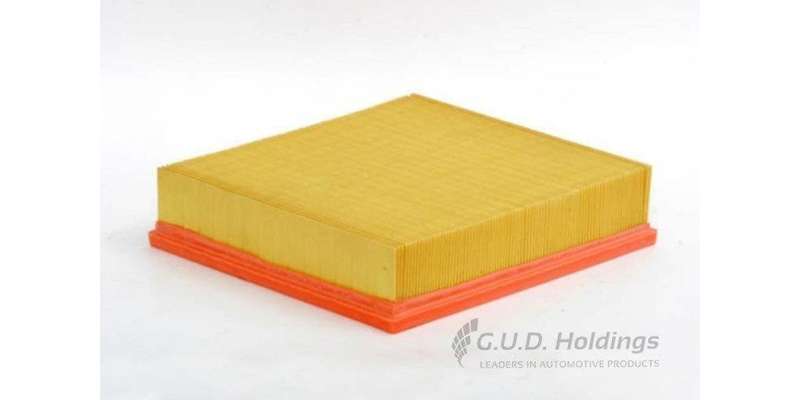 AG1416 Air Filter Micra/ Clio 3/Modus (GUD)