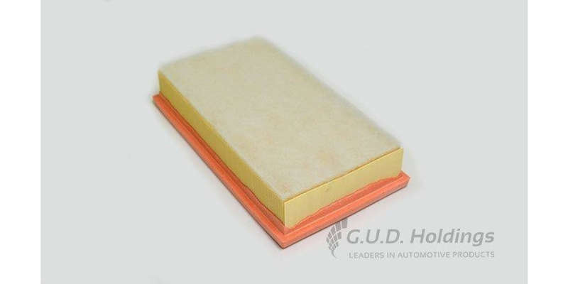 AG1429 Air Filter 147/Gt (GUD)