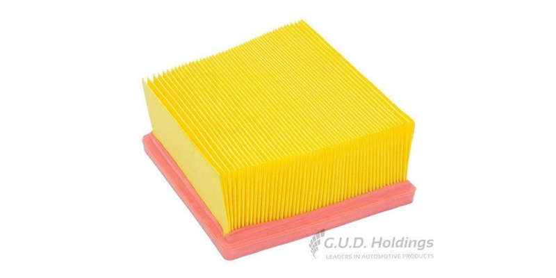 AG1434 Air Filter Ford Fiesta (GUD)