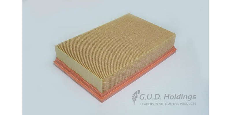 AG1454 Air Filter Freelander Ii (GUD)