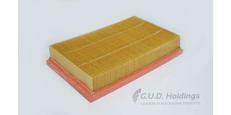 AG1456 Air Filter Focus Ii/ S40 Ii/ V50 (GUD)