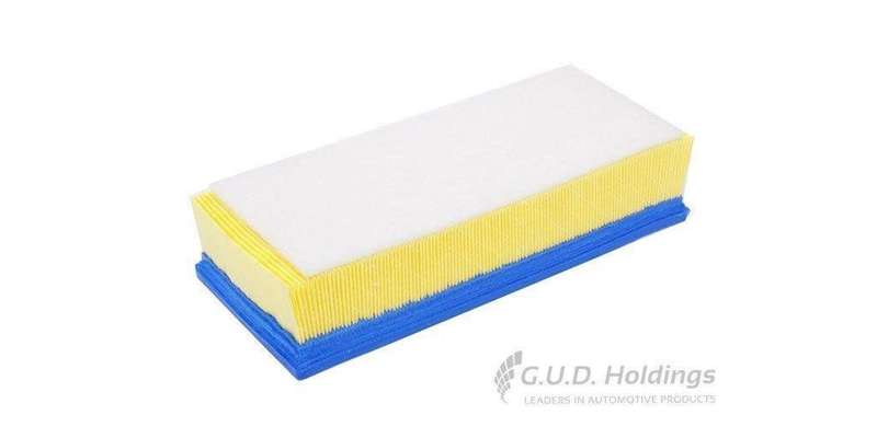 AG1476 Air Filter Scudo Ii/Peugeot Expert (GUD)