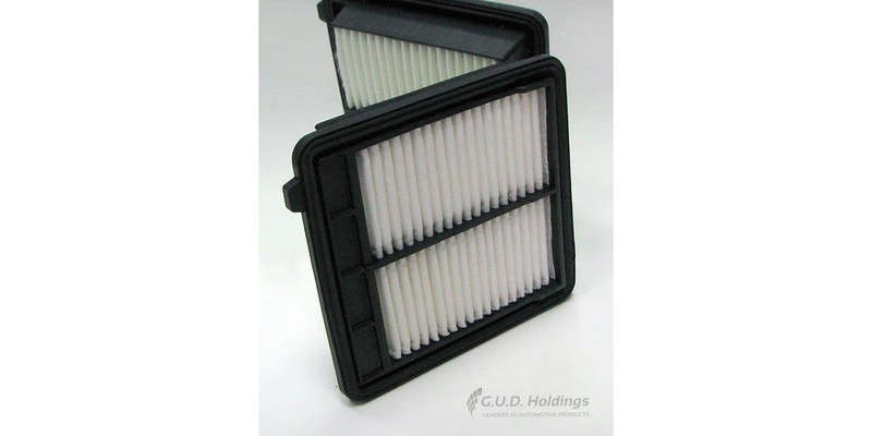 AG1496 Air Filter Crz (GUD)