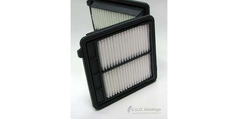 AG1496 Air Filter Crz (GUD)