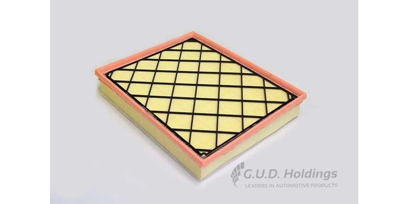 AG1505 Air Filter Bmw X6 (GUD)