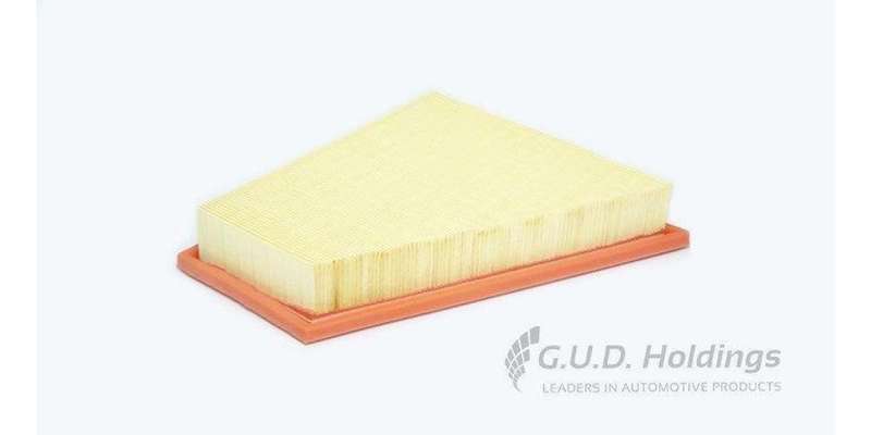 AG1514 Air Filter Bmw 5 Series (GUD)