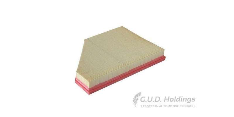 AG1515 Air Filter Bmw X5 (GUD)