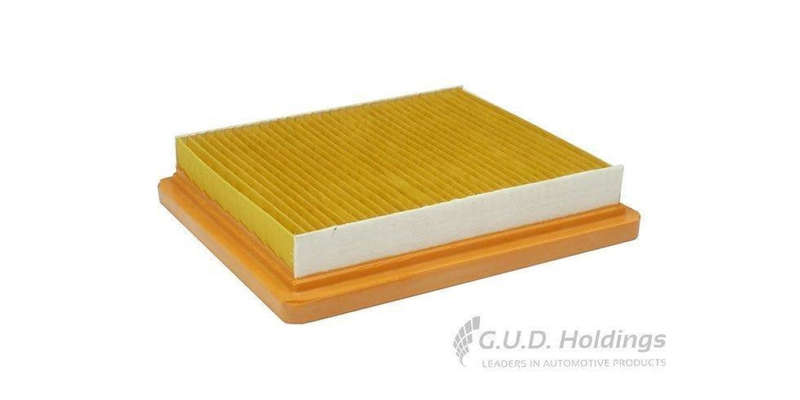 AG1516 Air Filter Ford Fiesta St (GUD)