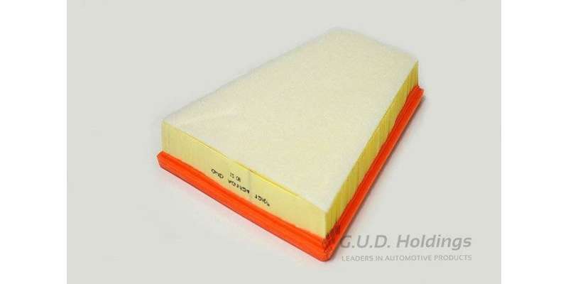 AG1524 Air Filter Renault Twingo (GUD)