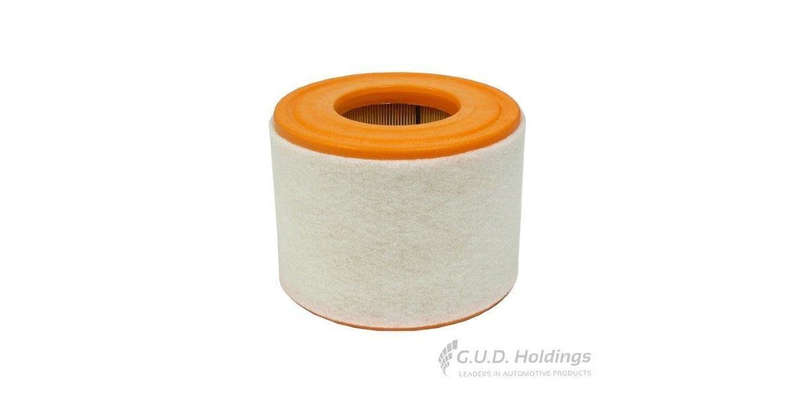AG1557 Air Filter Audi A6 (GUD)