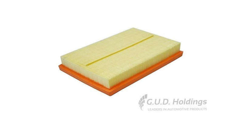 AG1624 Air Filter Lexus Rx450H/Toyota Rav4 (GUD)