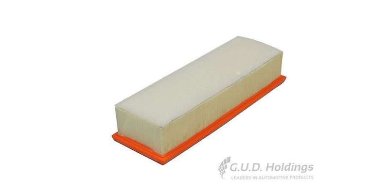 AG1758 Air Filter Bmw X3/X4/X5 (GUD)