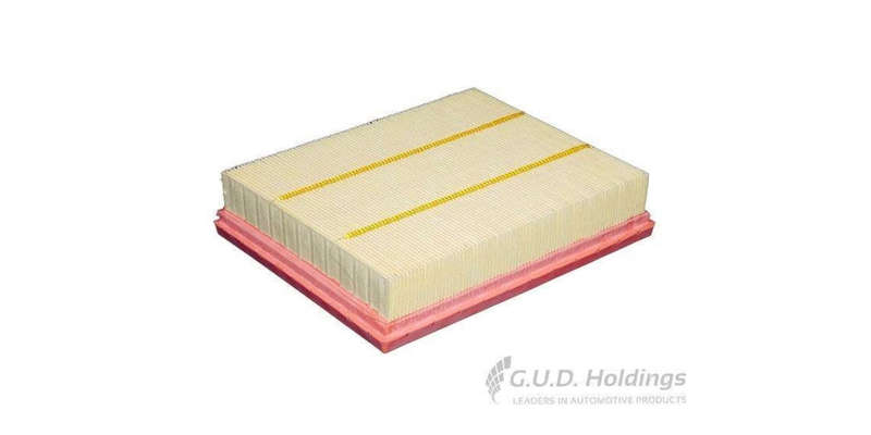 AG1766 Air Filter Ford (GUD)