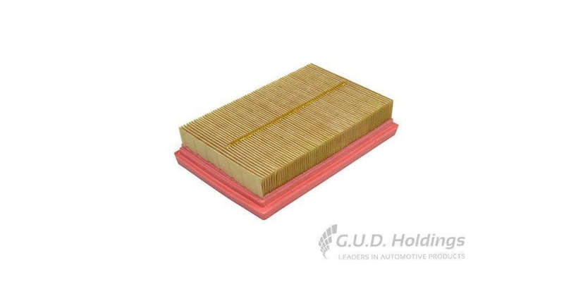 AG1776 Air Filter Citroen &Toyota (GUD)