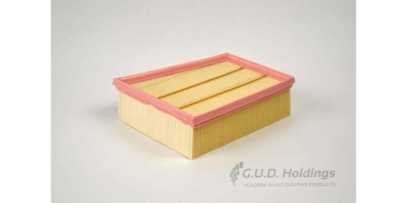 AG1793 Air Filter Renault Megane Iv 1.6 (GUD)