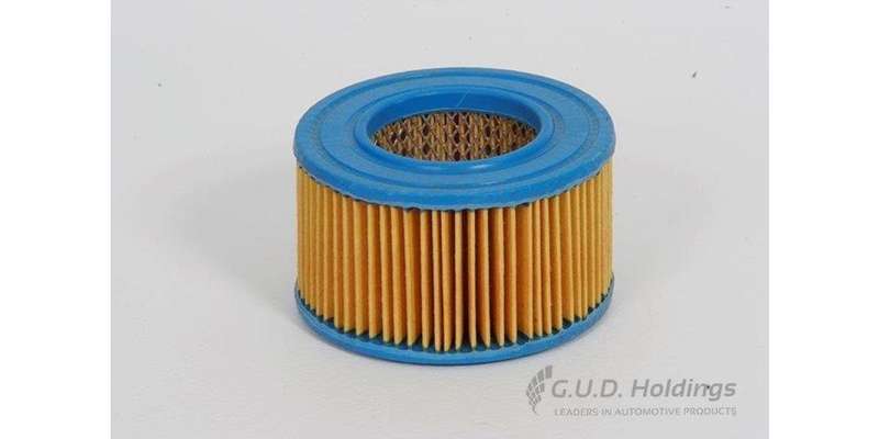 AG341P Hd Air Filter (GUD)