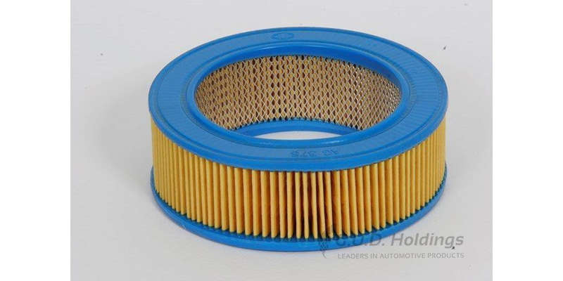 AG376 Air Filter Ford (GUD)