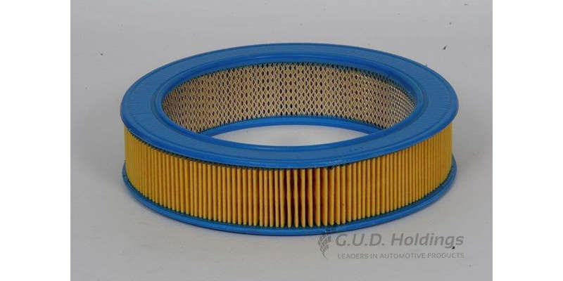 AG380 Air Filter Fiat/Ren/Ford/Vaux (GUD)