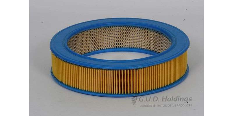 AG380 Air Filter Fiat/Ren/Ford/Vaux (GUD)