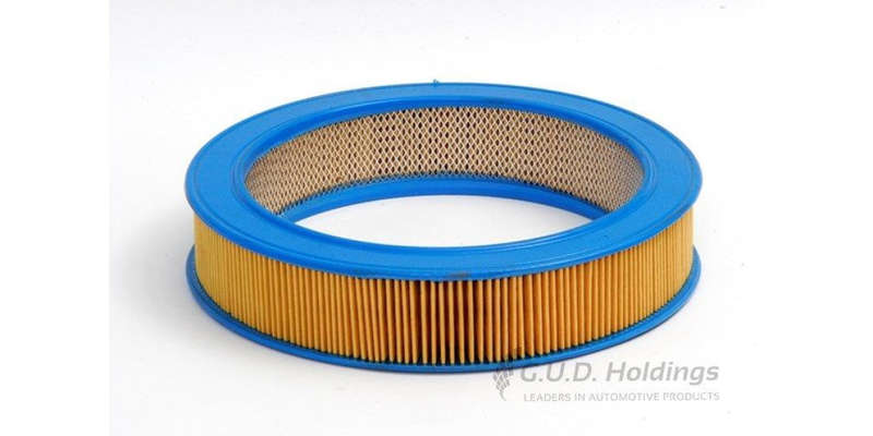 AG384 Air Filter Ford/Dodge (GUD)