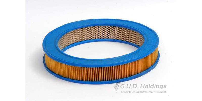 AG399 Air Filter Audi (GUD)