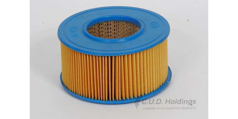 AG406 Hd Air Filter Ford (GUD)