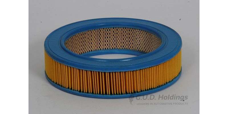 AG452 Air Filter Ford (GUD)