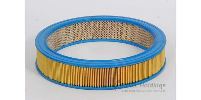 AG453 Air Filter Ford (GUD)
