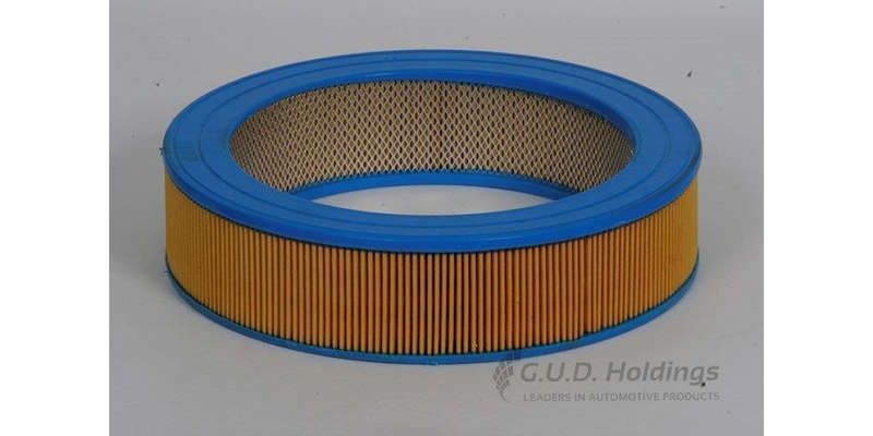 AG455 Air Filter Mazda/Mitsubishi (GUD)