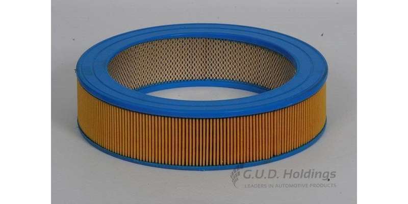 AG455 Air Filter Mazda/Mitsubishi (GUD)