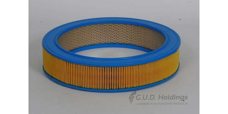 AG457 Air Filter Audi/Chev/Holden/Vw (GUD)