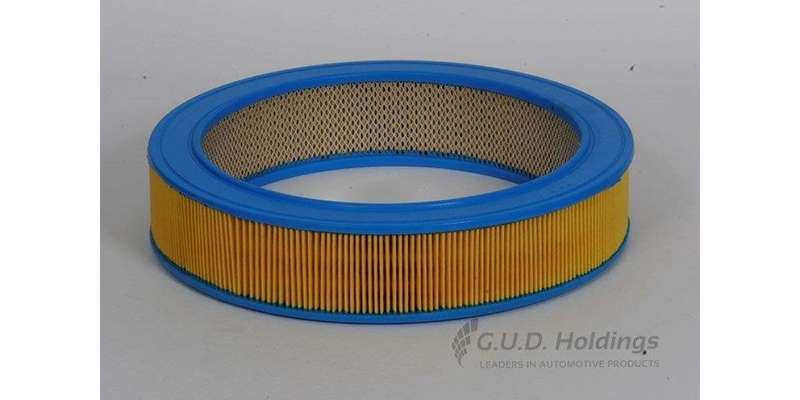 AG457 Air Filter Audi/Chev/Holden/Vw (GUD)