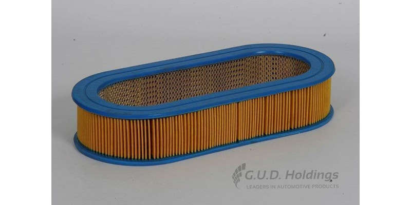 AG463 Air Filter Nissan (GUD)