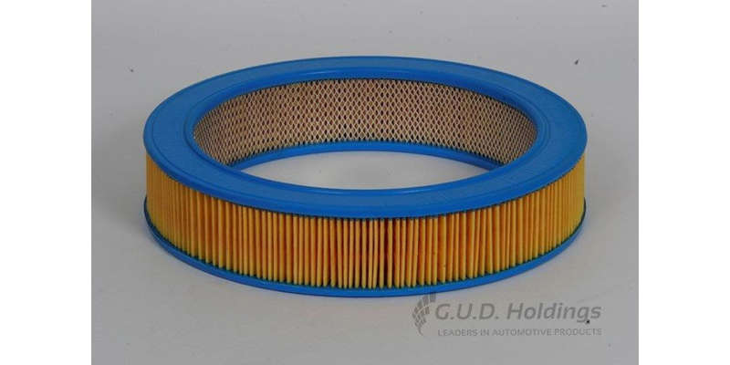 AG467 Air Filter Ford (GUD)