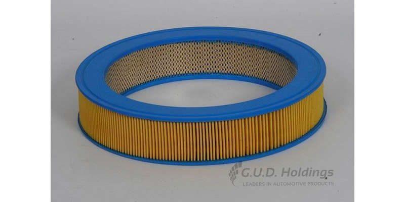 AG469P Air Filter Mazda/Asia (GUD)