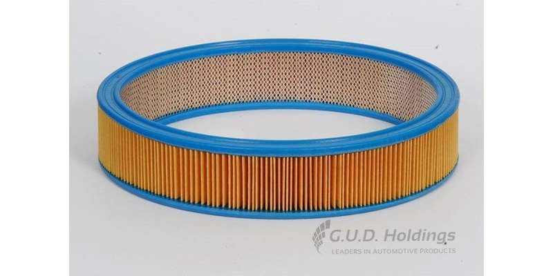 AG475 Air Filter Ford (GUD)