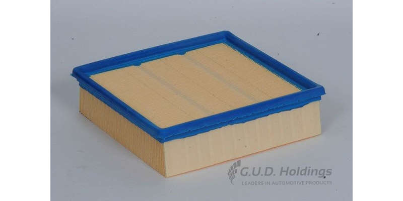 AG584 Air Filter Audi/Vw (GUD)