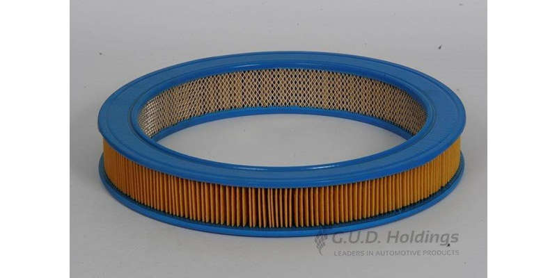 AG596 Air Filter Bmw (GUD)