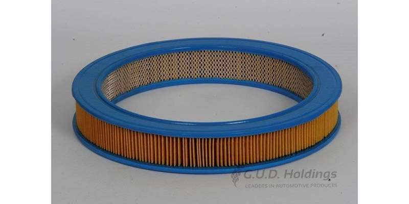 AG596 Air Filter Bmw (GUD)