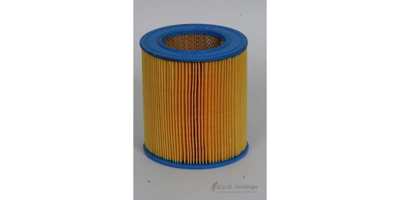AG598 Air Filter Chev/Opel (GUD)