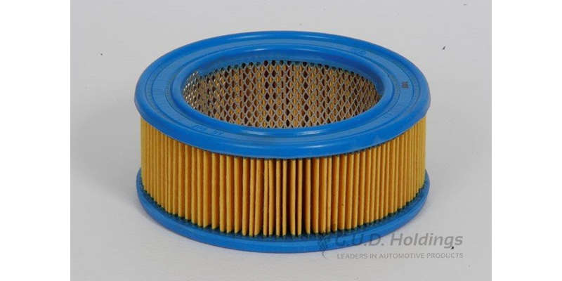 AG607 Air Filter Vw Beetle (GUD)