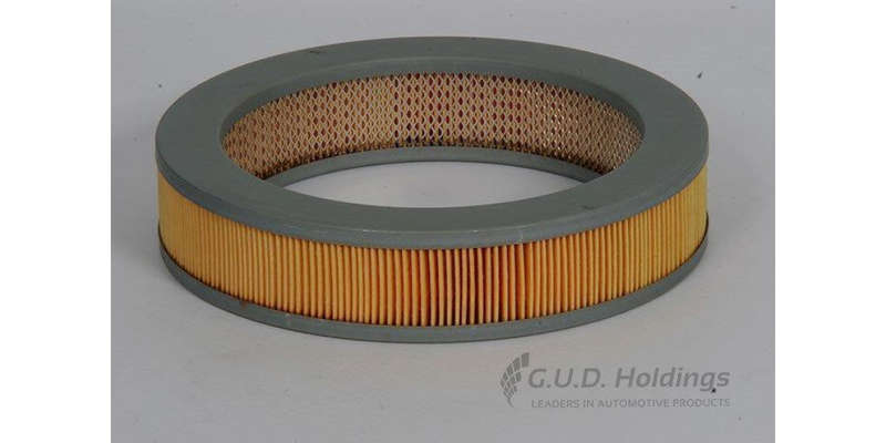 AG632 Air Filter Mazda (GUD)