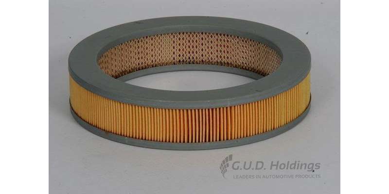 AG632 Air Filter Mazda (GUD)