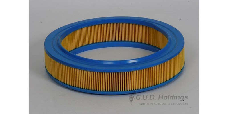 AG633 Air Filter Ford (GUD)
