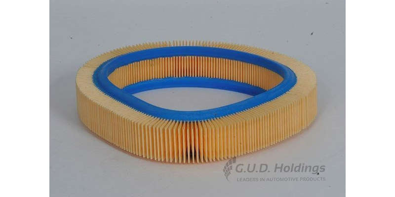 AG636 Air Filter Vw (GUD)