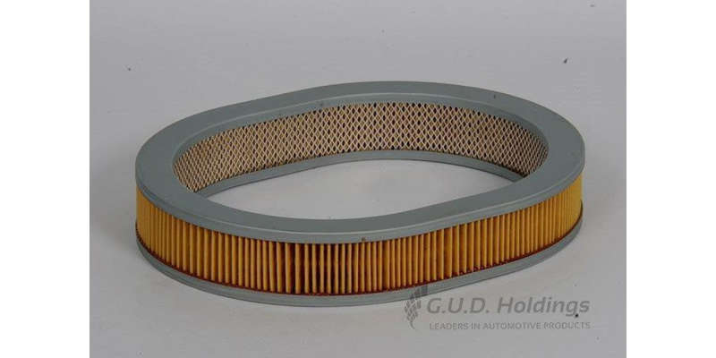 AG667 Air Filter Nissan (GUD)