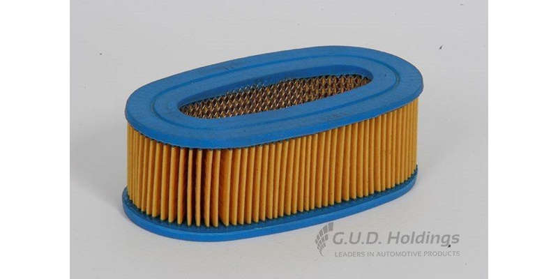 AG689 Air Filter Range Rover (GUD)