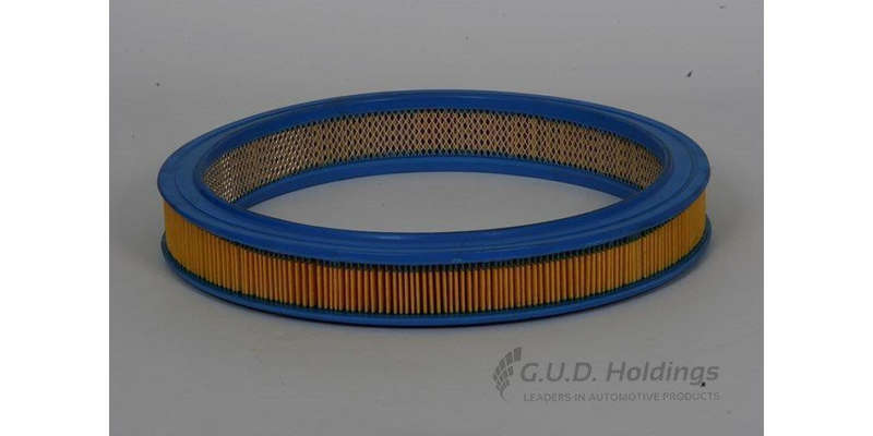 AG693 Air Filter Ford/Mazda (GUD)