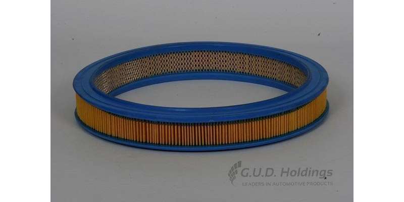 AG693 Air Filter Ford/Mazda (GUD)